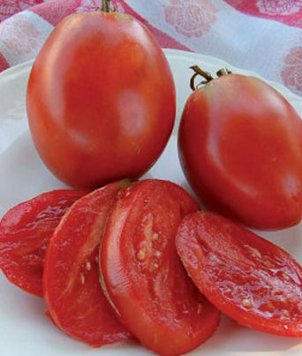 Tomato