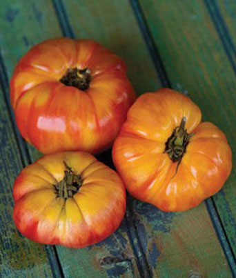 Tomato