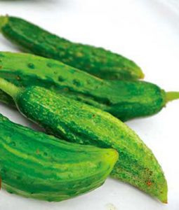 Cucumber 