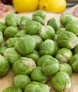 Brussel Sprout 