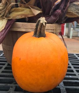 Pumpkin, Small Image