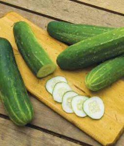 Cucumber 